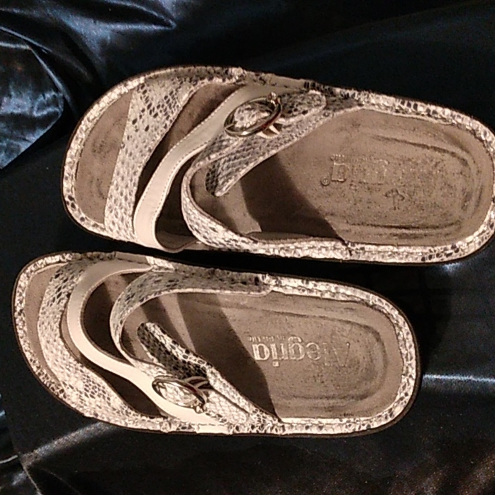 Snakeskin Alegria Shoes!